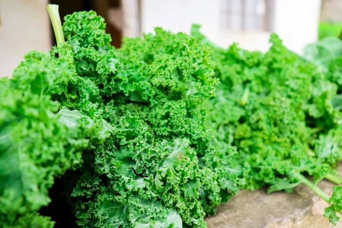 Seasonal produce - curly kale for sale at a farmers market in May