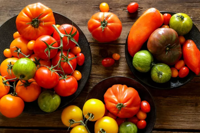 Seasonal produce - a variety of tomatoes in different sizes and shades of green, yellow, orange, red and purple
