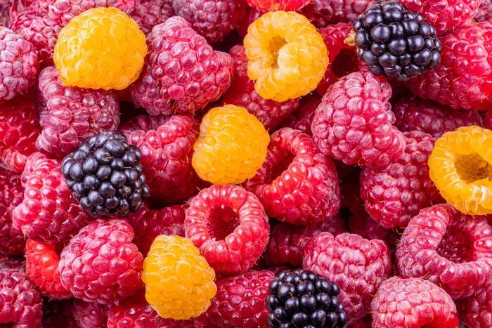 Seasonal produce - Fresh red and yellow raspberries and blackberries
