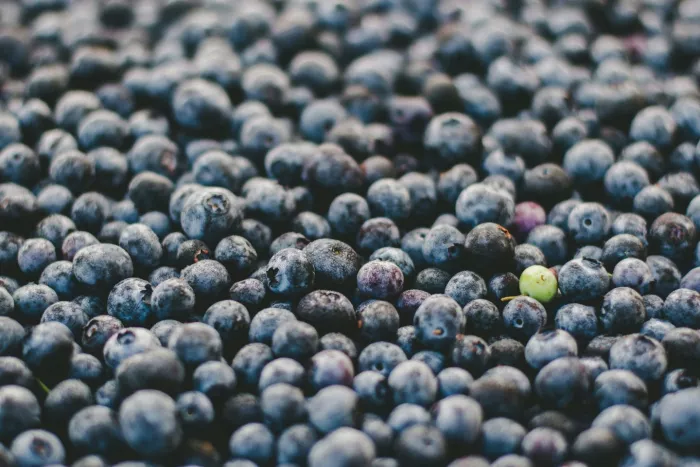 A closeup of seasonal blueberries for sale at a farmer's market