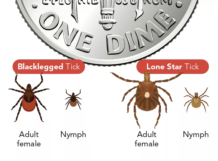 tick size reference to a quarter