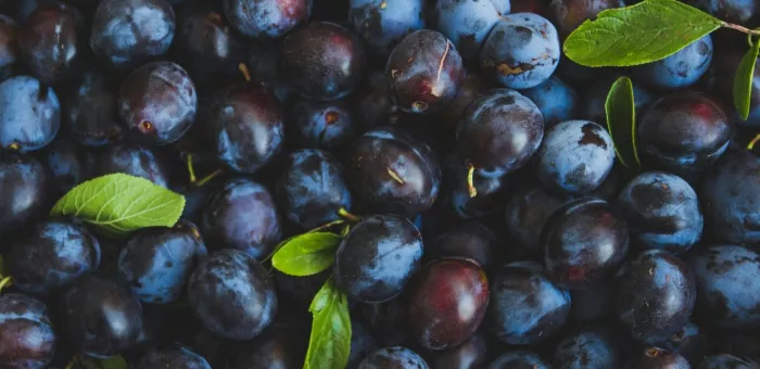 seasonal produce - fresh plums for sale at a farmers market