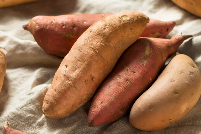 seasonal produce - raw organic assorted sweet potatoes