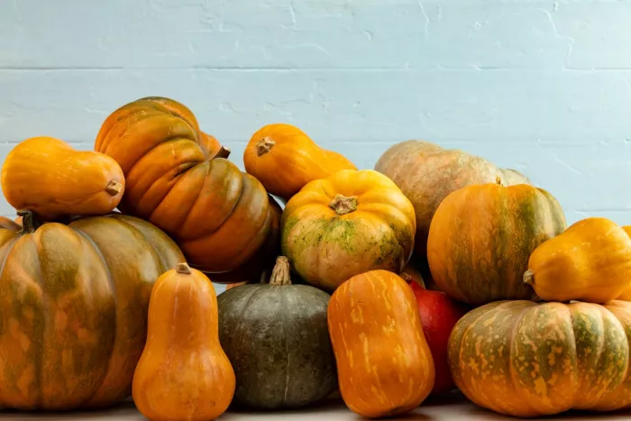 Seasonal produce - an assortment of pie or sugar pumpkins on a table