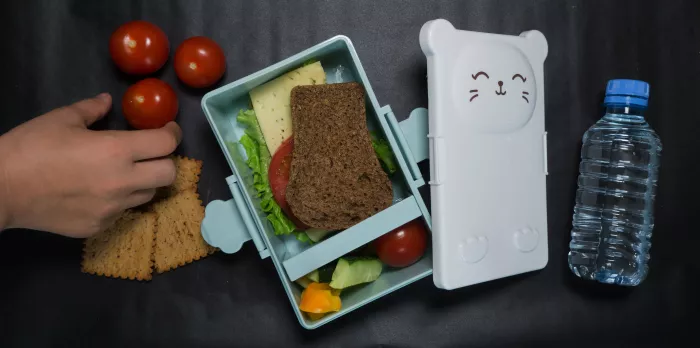 open lunch box with a sandwich of whole grain bread, cheese, green salad, tomato, cucumber and a bottle of water