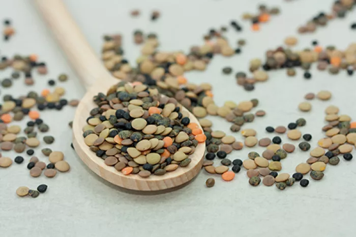 wooden spoon holding various different colored lentils on white background