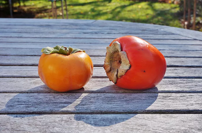 a red and an orange persimmon sitting on wood deck