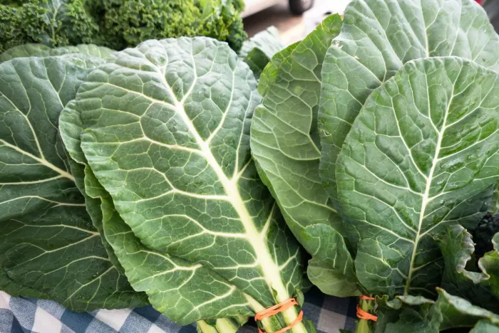 Seasonal produce - bunches of fresh collard greens for sale