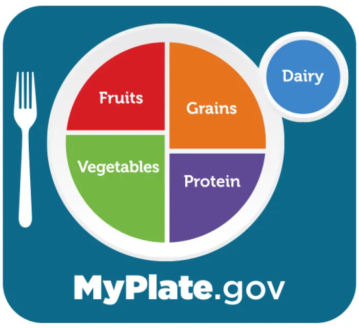 diagram of my plate 