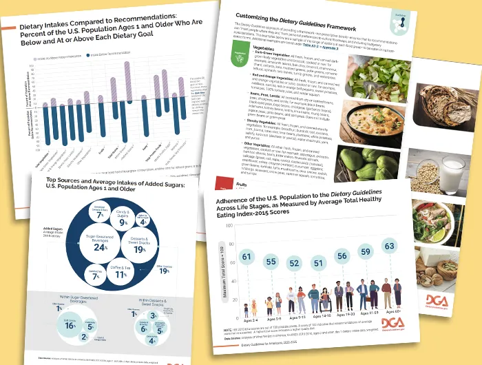 different diagrams and charts from the DGA report