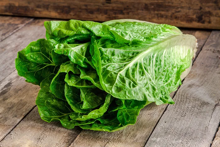 head of lettuce on a wood background