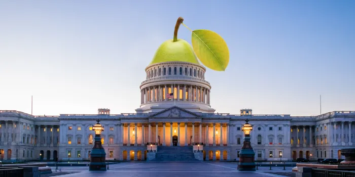 The U.S. Capitol with a pear as the dome