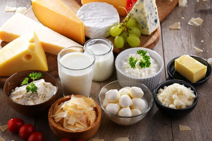 A variety of dairy foods, including milk, several kinds of cheese, and yogurt