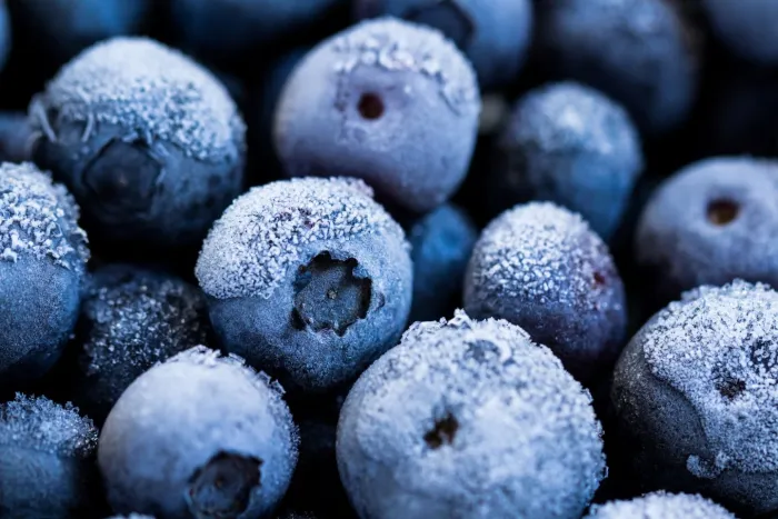 Closeup of frozen blueberries