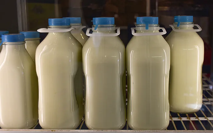 glass bottles of milk in store fridge