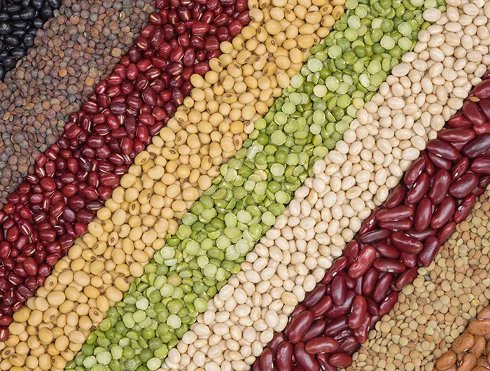 Assortment of legumes