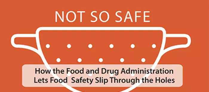 Food Additive Safety Infographic