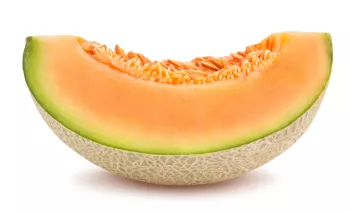 cantaloupe