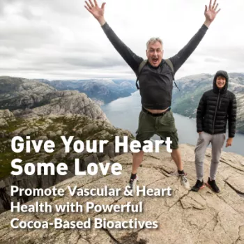 flavanols ad