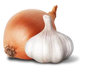 onion and garlic