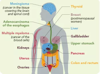diagram of cancers linked to overweight and obesity