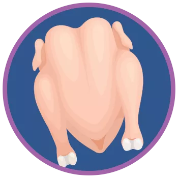 cartoon uncooked, defeathered chicken