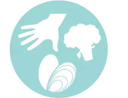 norovirus icon