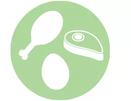 salmonella icon