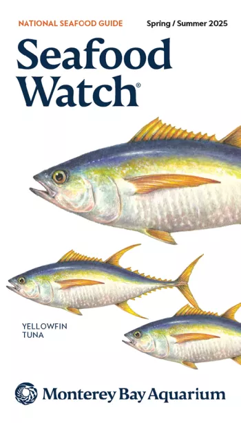 cover of Seafood Watch from the Monterey Bay Aquarium