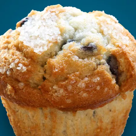 blueberry muffin with a blue background