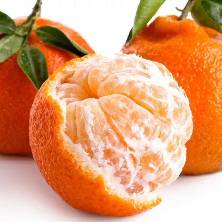satsuma mandarins