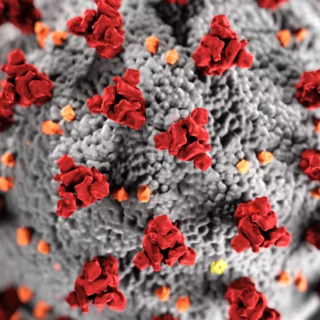 a coronavirus