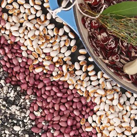 dried beans