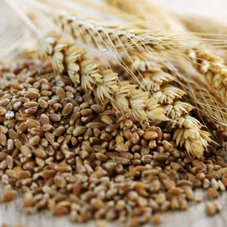 whole grains