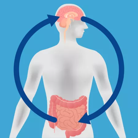 illustration of a human brain and gut