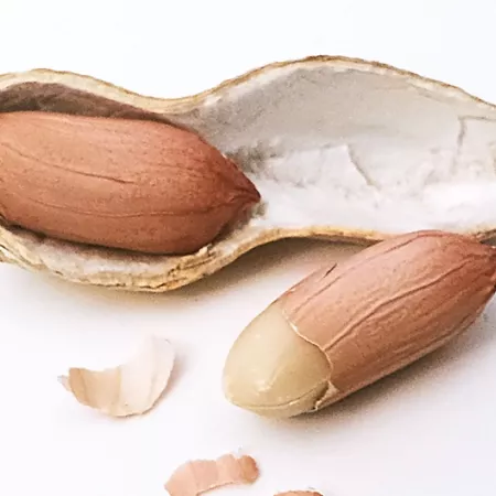 peanuts