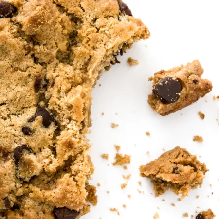 chocolate chip cookie
