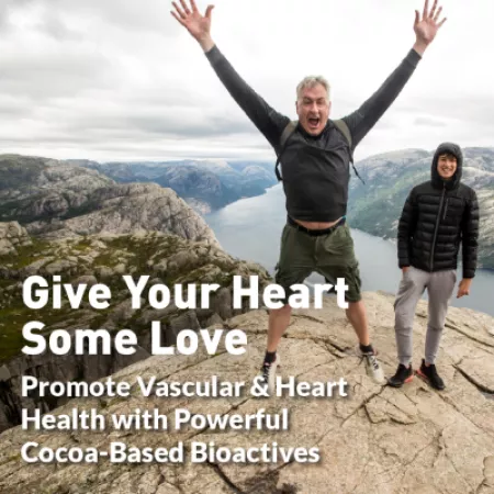 flavanols ad