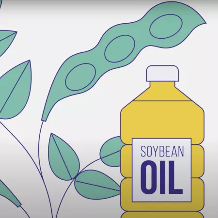 A still from FDA's video on GMOs: cartoon soybeans and a bottle labeled "soybean oil"