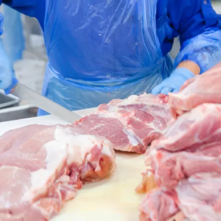person cutting raw meat on counter