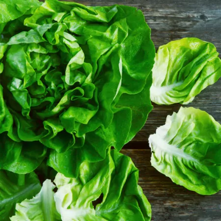 head of lettuce on table