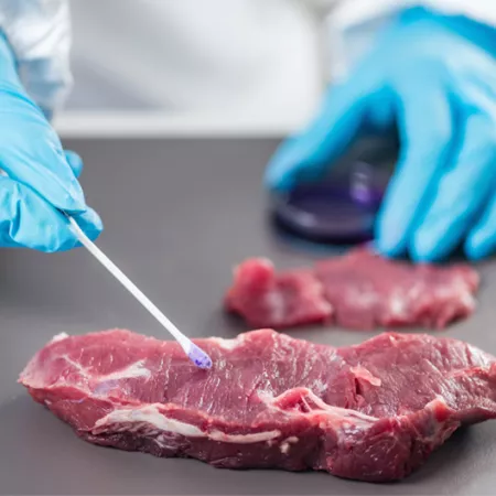 a meat inspector's hands and beef