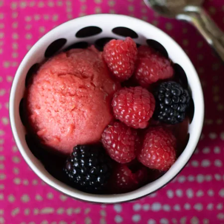 bowl of pink sorbet with berries in a white bowl on a bright pink background