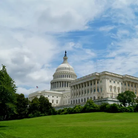 The U.S. Capitol Building in Washington D.C.