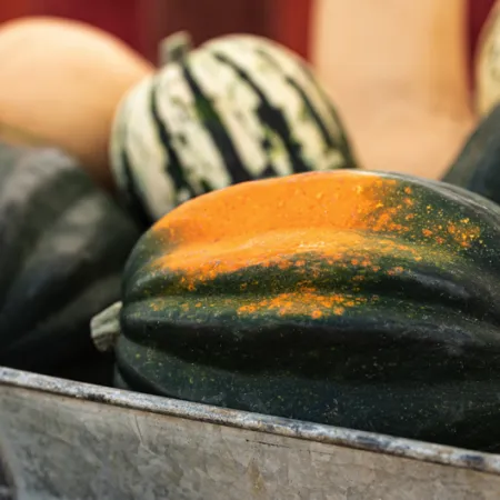 assortment of squash in metal barrel  