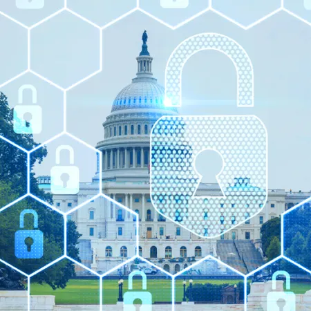 United Stated Capitol building with an overlay of padlocks 