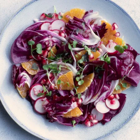 plate filled with red cabbage, radishes and pomegranate seeds