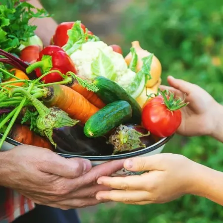 A man farmer and a child are holding a harvest of vegetables in their hands.