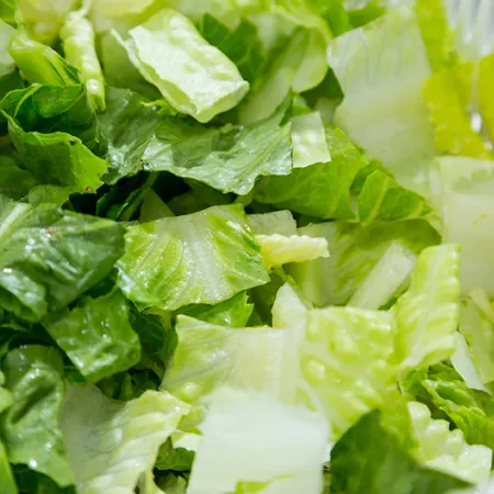 Shredded iceberg lettuce