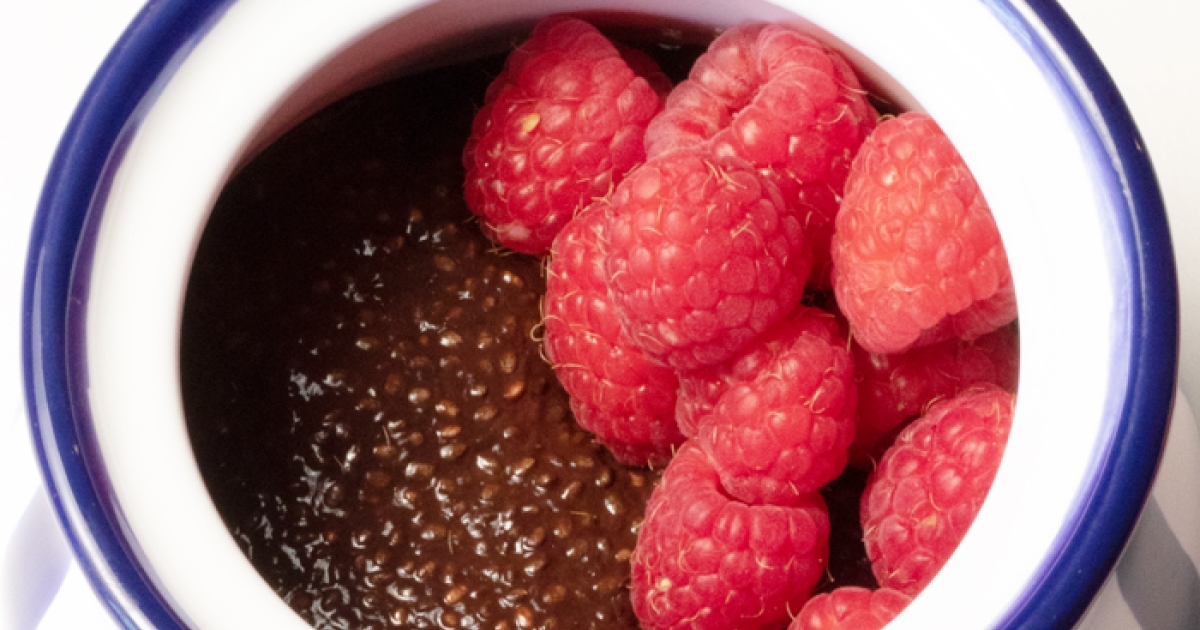 Chocolate Chia Pudding | Center for Science in the Public Interest